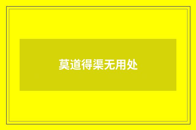 莫道得渠无用处