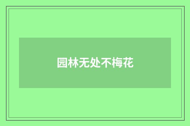 园林无处不梅花
