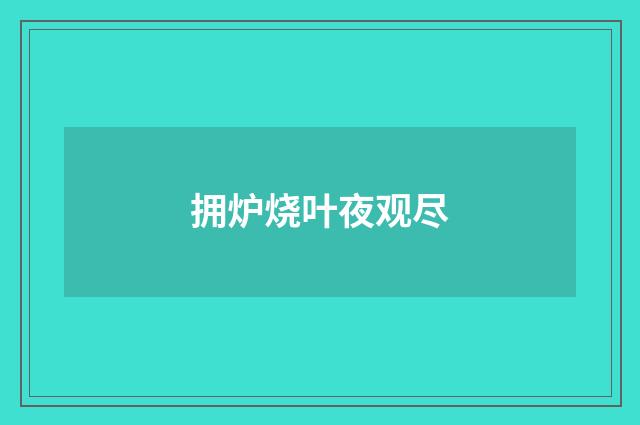拥炉烧叶夜观尽