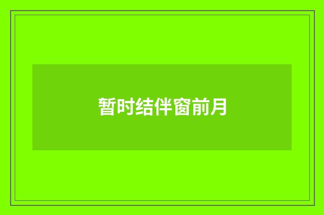 暂时结伴窗前月