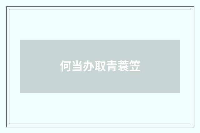 何当办取青蓑笠