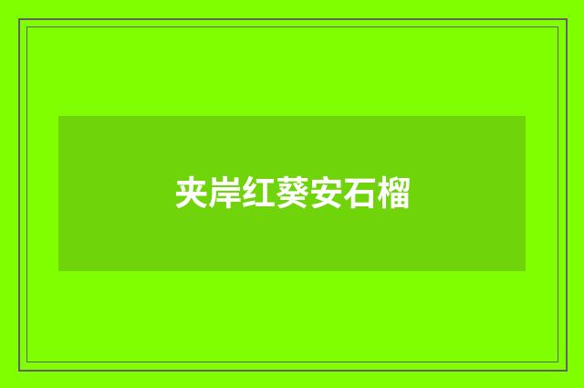 夹岸红葵安石榴