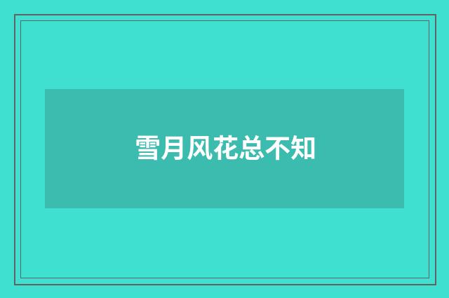 雪月风花总不知