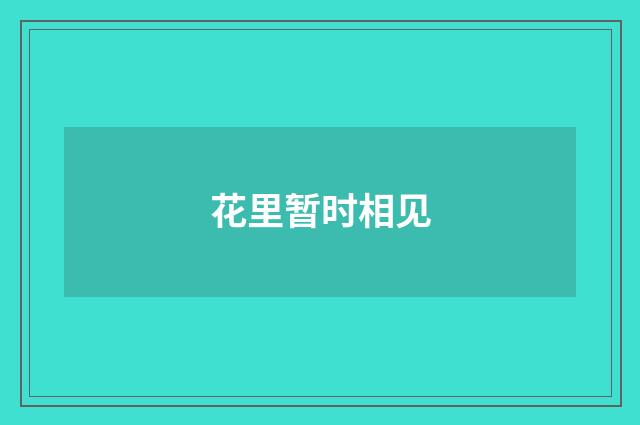 花里暂时相见