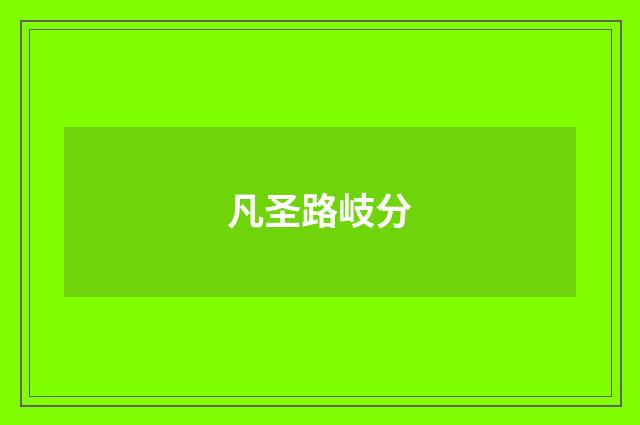 凡圣路岐分