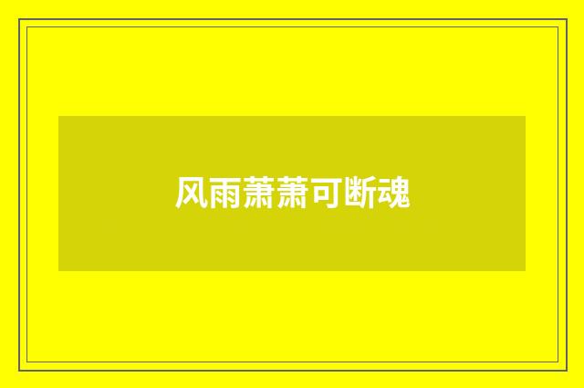 风雨萧萧可断魂
