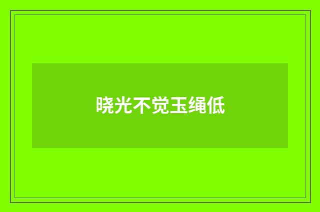 晓光不觉玉绳低