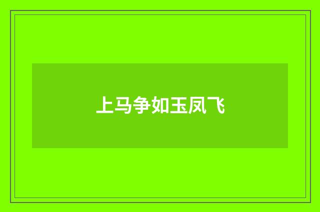 上马争如玉凤飞