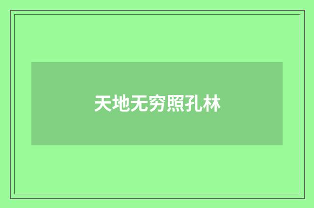 天地无穷照孔林