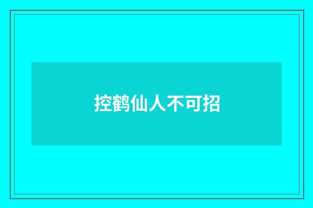 控鹤仙人不可招
