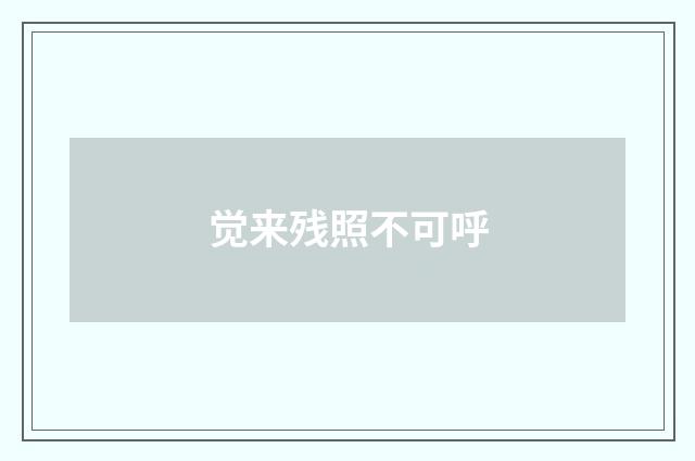觉来残照不可呼
