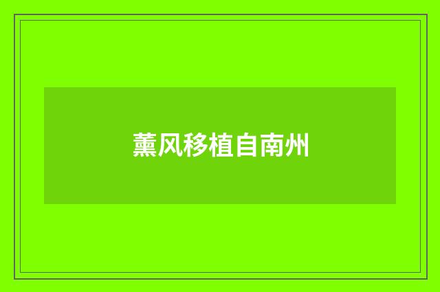 薰风移植自南州