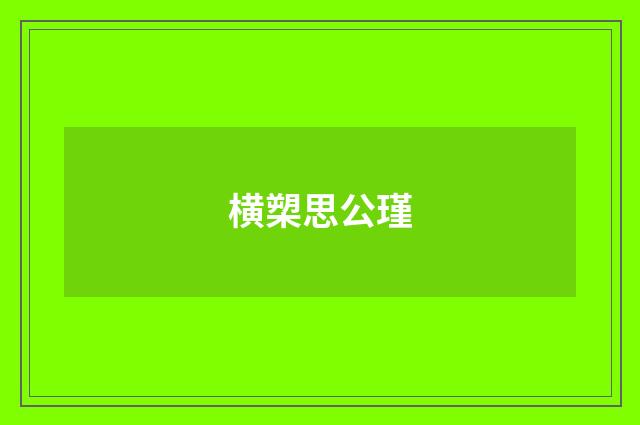 横槊思公瑾