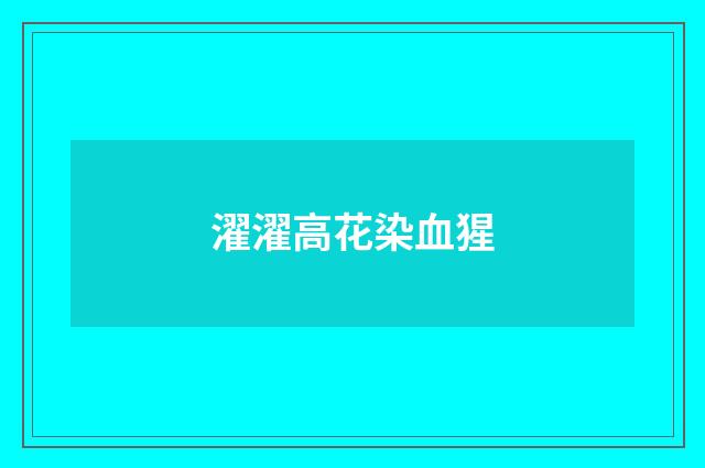 濯濯高花染血猩