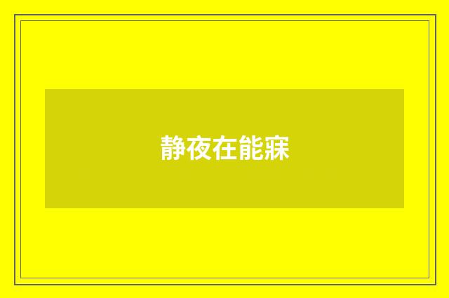 静夜在能寐