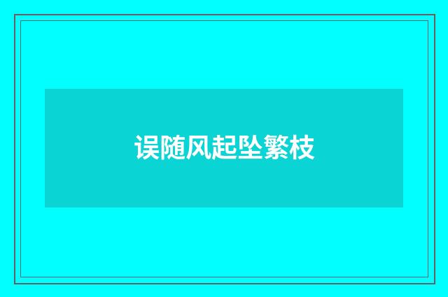 误随风起坠繁枝