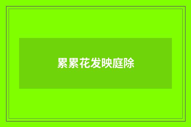 累累花发映庭除