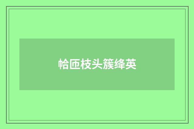 帢匝枝头簇绛英