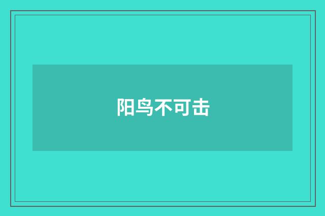 阳鸟不可击