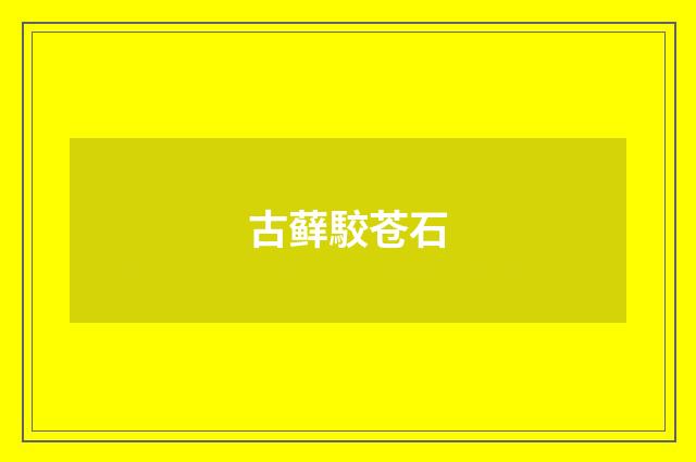 古藓駮苍石