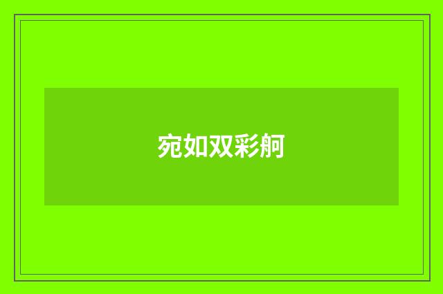 宛如双彩舸