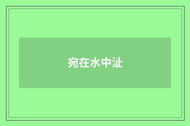 宛在水中沚