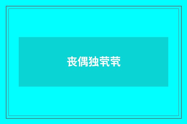 丧偶独茕茕
