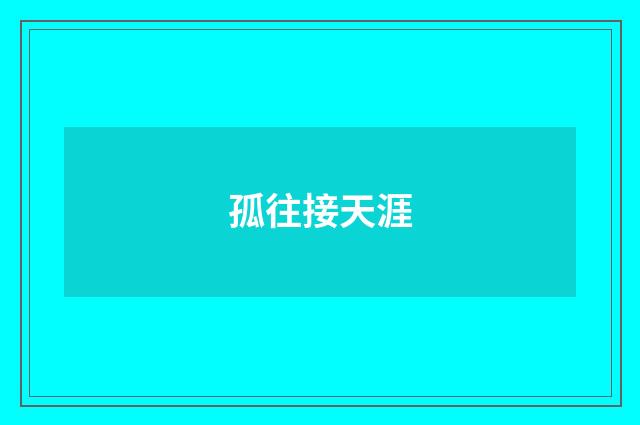 孤往接天涯