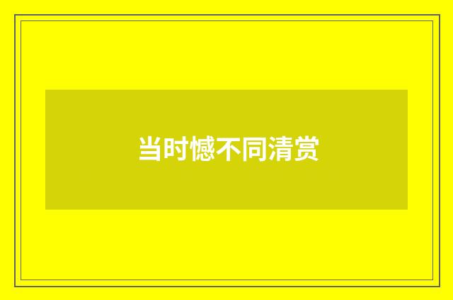 当时憾不同清赏