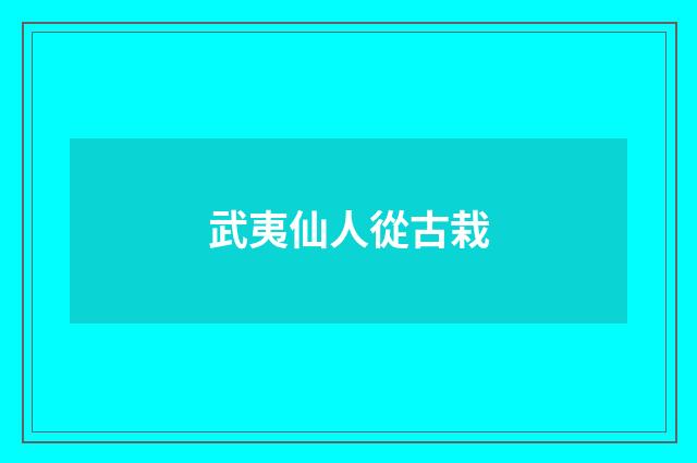 武夷仙人從古栽
