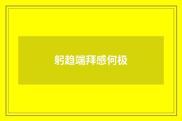 躬趋端拜感何极