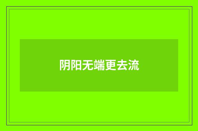 阴阳无端更去流