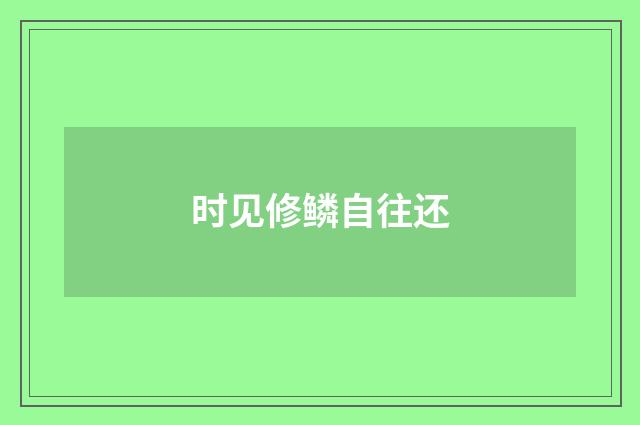 时见修鳞自往还
