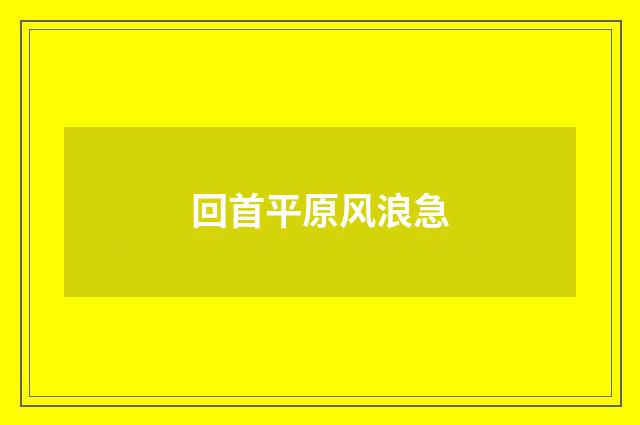回首平原风浪急