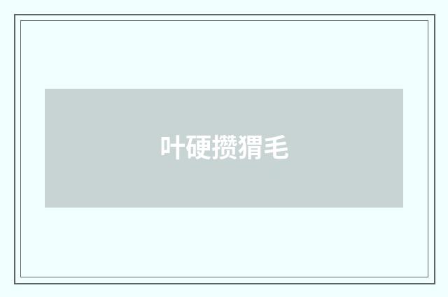 叶硬攒猬毛