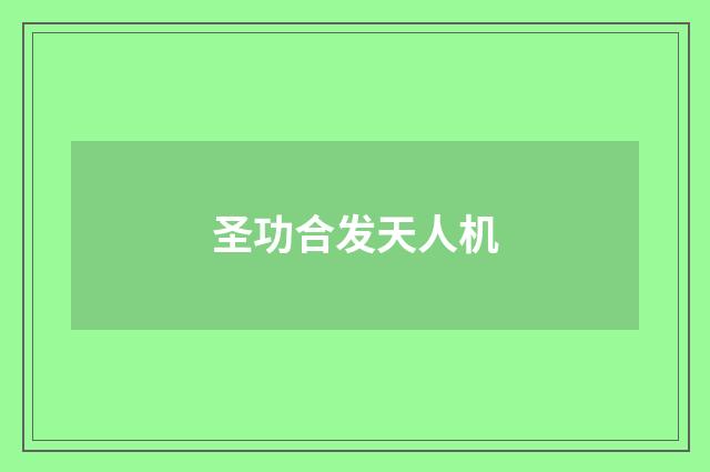 圣功合发天人机