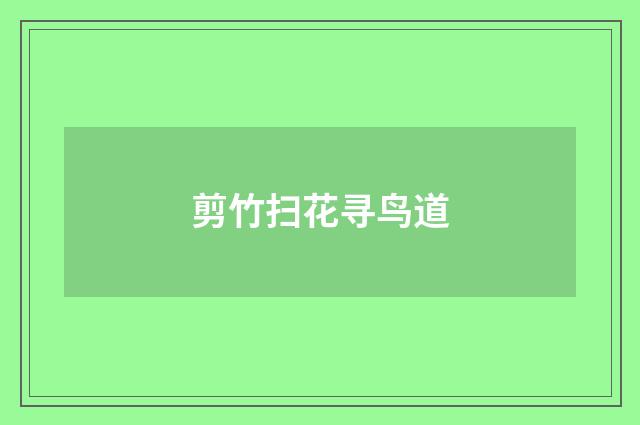 剪竹扫花寻鸟道