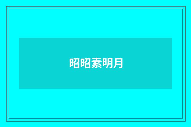 昭昭素明月