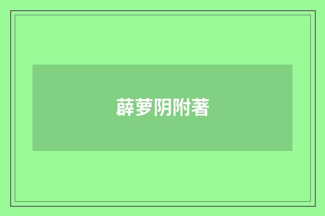 薜萝阴附著
