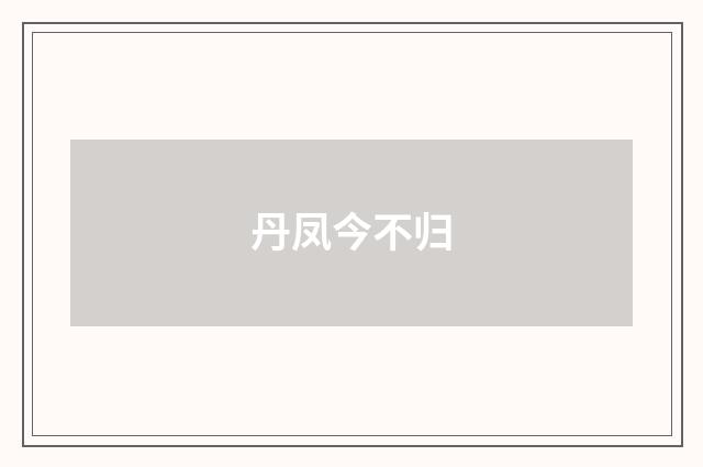 丹凤今不归