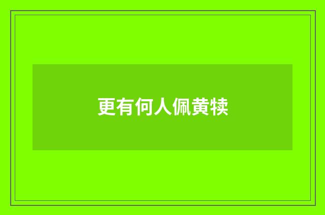 更有何人佩黄犊