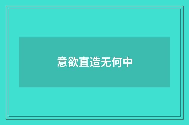意欲直造无何中