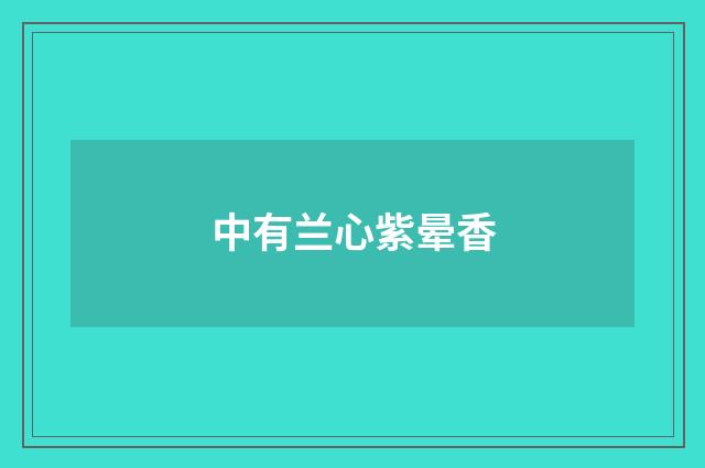 中有兰心紫晕香