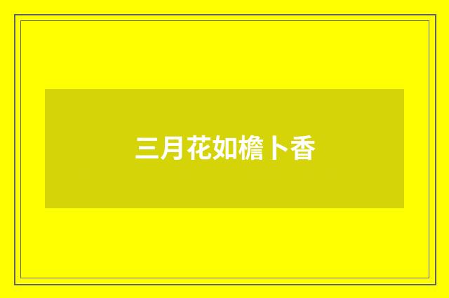 三月花如檐卜香
