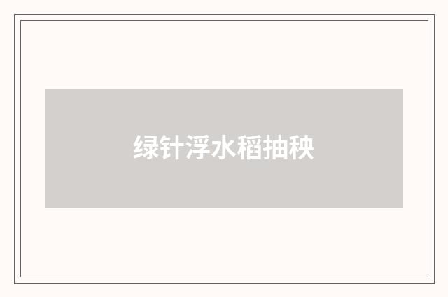 绿针浮水稻抽秧