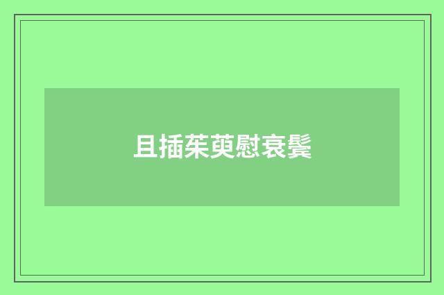 且插茱萸慰衰鬓