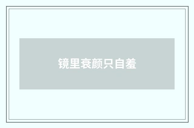 镜里衰颜只自羞