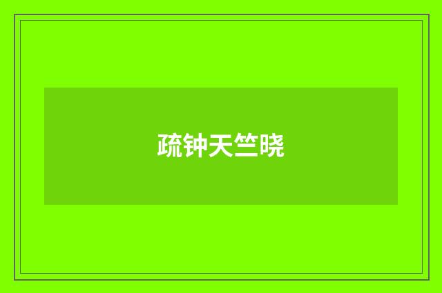 疏钟天竺晓