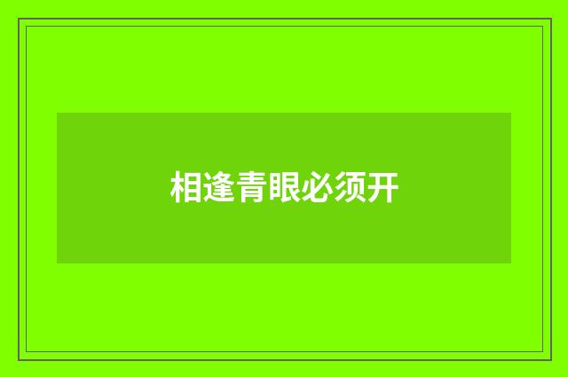 相逢青眼必须开
