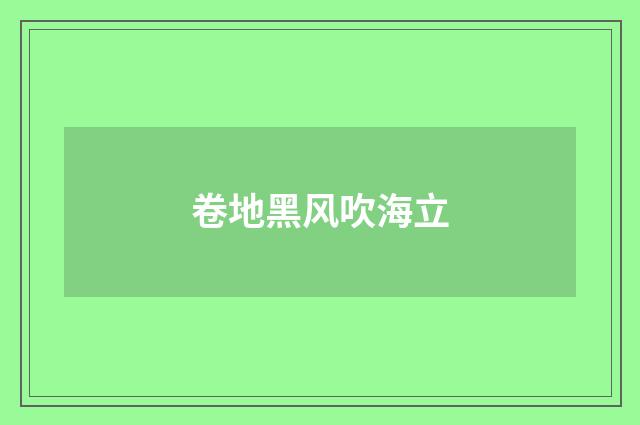 卷地黑风吹海立